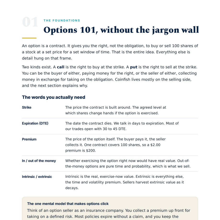 Options Playbook preview